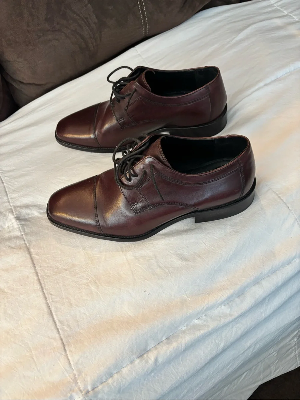 J. Murphy Men's Cap-Toe Dress Oxfords in Burgundy